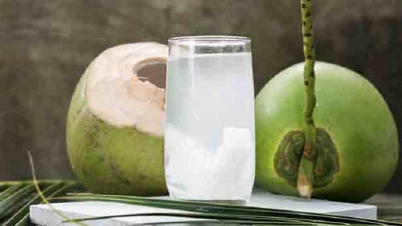 যত রোগের মহৌষধ ডাবের পানি যত রোগের মহৌষধ ডাবের পানি