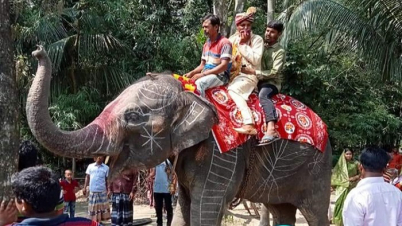 হাতিতে চড়ে বিয়ে