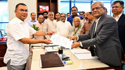 রাষ্ট্রপতি পদে মির্জা ফখরুলকে বেছে নিলেন প্রধানমন্ত্রী