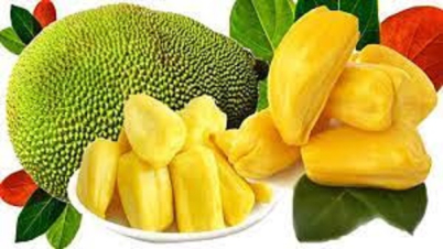 কাঁঠালের উপকারিতা