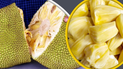 পাকা ও মিষ্টি কাঁঠাল চেনার উপায়