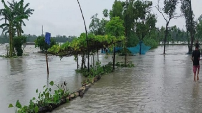 কুড়িগ্রামে বন্যায় ৬২ হাজার মানুষ পানিবন্দী