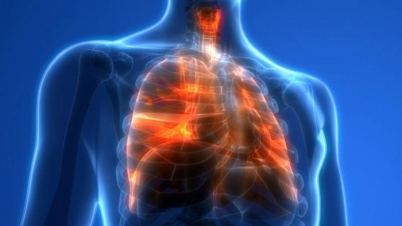 দীর্ঘমেয়াদে ফুসফুস বিকল করে দিচ্ছে করোনাভাইরাস? দীর্ঘমেয়াদে ফুসফুস বিকল করে দিচ্ছে করোনাভাইরাস?