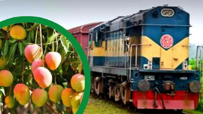 ১৩ জুন থেকে ম্যাংগো স্পেশাল ট্রেন চালু