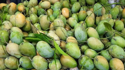 চাঁপাইনবাবগঞ্জে ২ হাজার কোটি টাকা আম বাণিজ্যের সম্ভাবনা