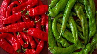 কাঁচা নাকি শুকনো মরিচ, কোনটি বেশি উপকারী?