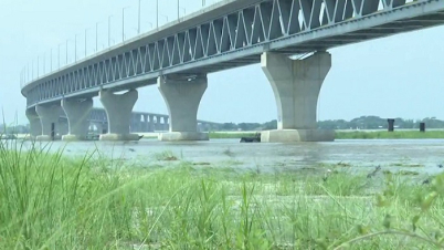 পদ্মা সেতু সোজা না হয়ে বাঁকা কেন