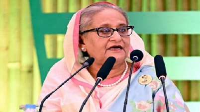 আওয়ামী লীগ গাছ লাগায় বিএনপি তা ধ্বংস করে : শেখ হাসিনা