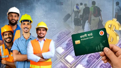 কারা পাবেন প্রবাসী কার্ড, কী কী সুবিধা থাকছে? কারা পাবেন প্রবাসী কার্ড, কী কী সুবিধা থাকছে?