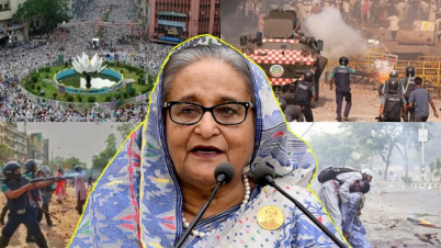 শাপলা চত্বরে হত্যাযজ্ঞ: হাসিনাসহ ৩০ আসামিকে আত্মসমর্পণের নির্দেশ