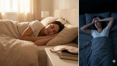 ৮ ঘণ্টা ঘুম কতটা দরকারি? ৮ ঘণ্টা ঘুম কতটা দরকারি?