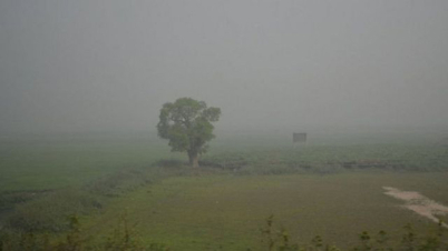শৈত্যপ্রবাহ অব্যাহত থাকবে