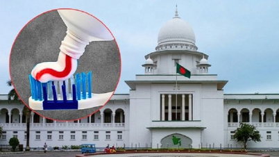 টুথপেস্টে মাইক্রোপ্লাস্টিক: বিশেষজ্ঞ কমিটি গঠনের নির্দেশ