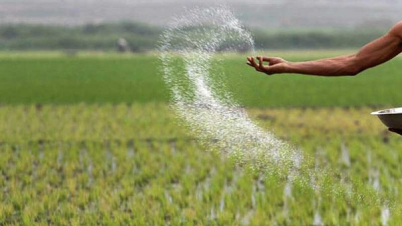 ইউরিয়া সারের দাম কেজিতে বাড়ল ৬ টাকা