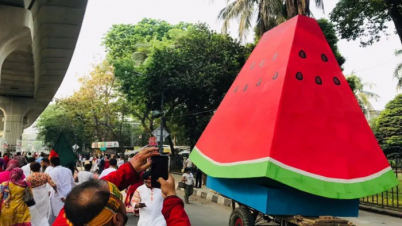 যেভাবে ফিলিস্তিনের সংগ্রামের প্রতীক হয়ে উঠল তরমুজ