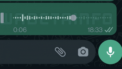 ভয়েস মেসেজ টেক্সট আকারে পড়বেন যেভাবে