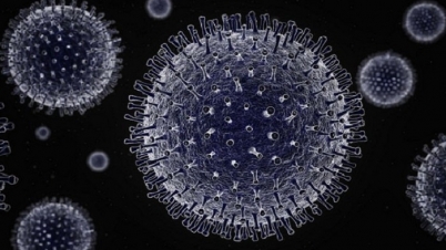 করোনার সংক্রমণ চলবে ২-৩ বছর করোনার সংক্রমণ চলবে ২-৩ বছর