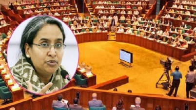 কলেজে ভর্তি কার্যক্রম শুরু শিগগির