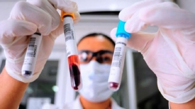 করোনা আক্রান্ত হবেন কী না, নির্ধারন করবে আপনার রক্তের গ্রুপ ! করোনা আক্রান্ত হবেন কী না, নির্ধারন করবে আপনার রক্তের গ্রুপ !