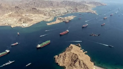 হরমুজ দিয়ে নির্বিঘ্নে চলতে পারবে বাংলাদেশসহ ৬ দেশের জাহাজ