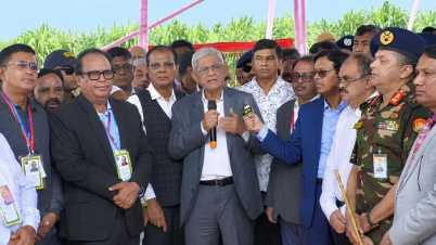 সংঘাতের রাজনীতি দেখতে চাই না: রাষ্ট্রপতি