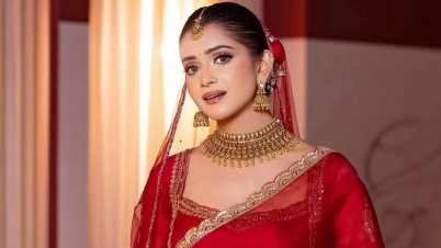 ‘আপত্তিকর ছবি-ভুল তথ্য’ ছড়ানোর অভিযোগ, তিশাকে লিগ্যাল নোটিস